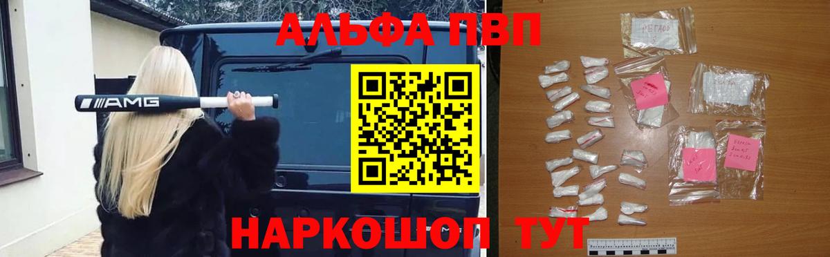 Альфа ПВП СК КРИС Кондопога