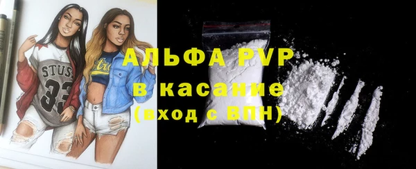 ПСИЛОЦИБИНОВЫЕ ГРИБЫ Вяземский