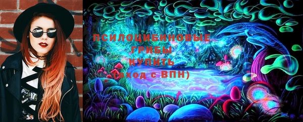 шишки Осинники