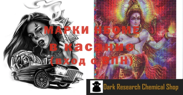 шишки Осинники