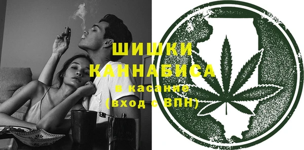 шишки Осинники