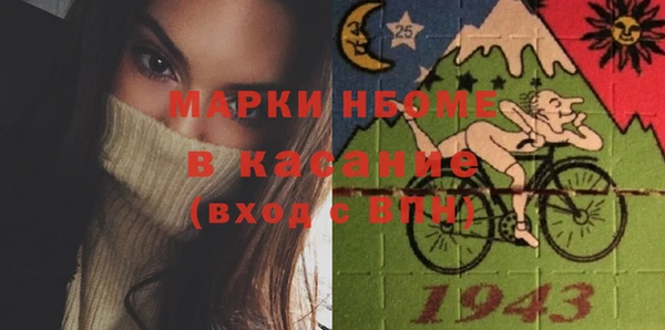 шишки Осинники
