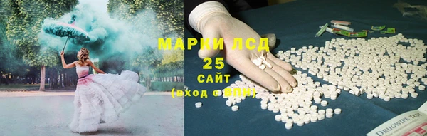 шишки Осинники