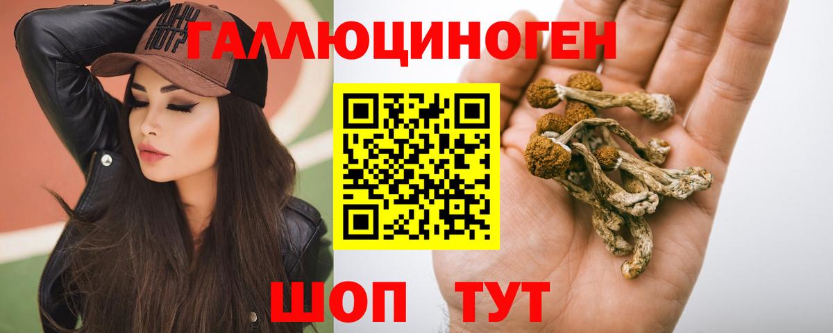 Псилоцибиновые грибы Psilocybe  Кондопога 