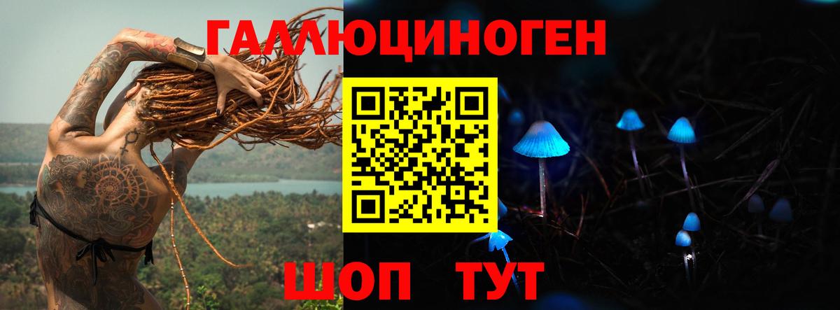 Галлюциногенные грибы GOLDEN TEACHER  Вход с VPN  Кондопога  Псилоцибиновые грибы ЛСД 