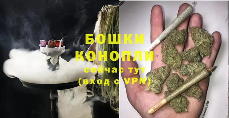 где купить наркоту  Кондопога  Бошки марихуана Ganja 